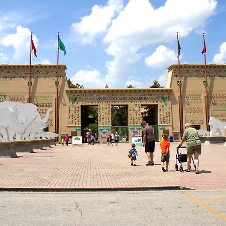 فندق أجنحة ستاي بريدج ممفيس - بوبلار أفينيو إيست المظهر الخارجي الصورة